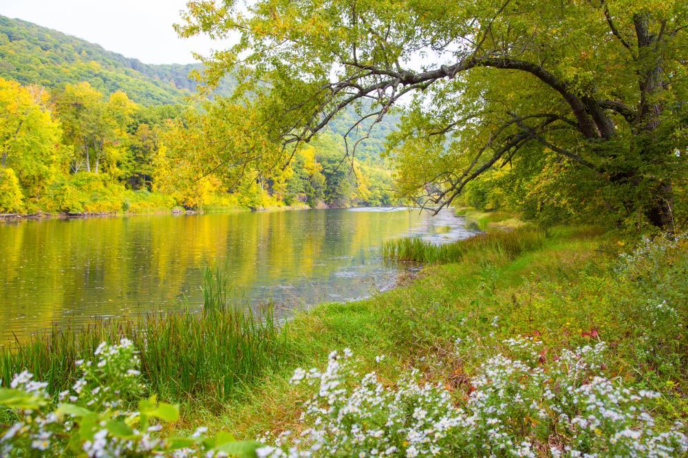 New England's Early Autumn