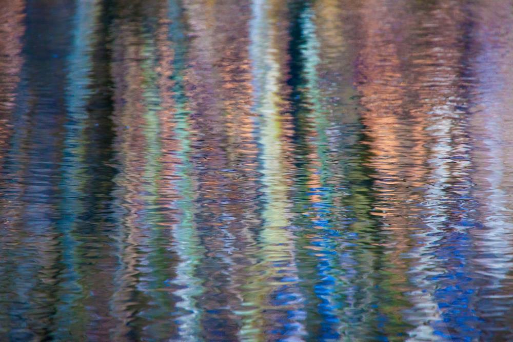 Abstract Tree Reflections